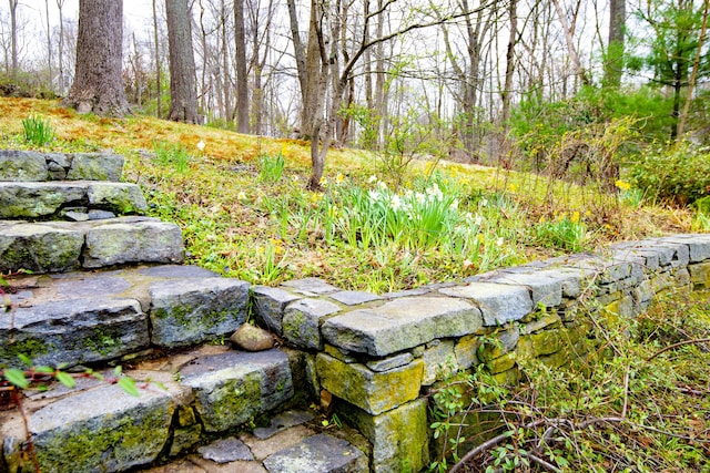 102 Colonial Rd, Guilford, CT 06437 - view of yard