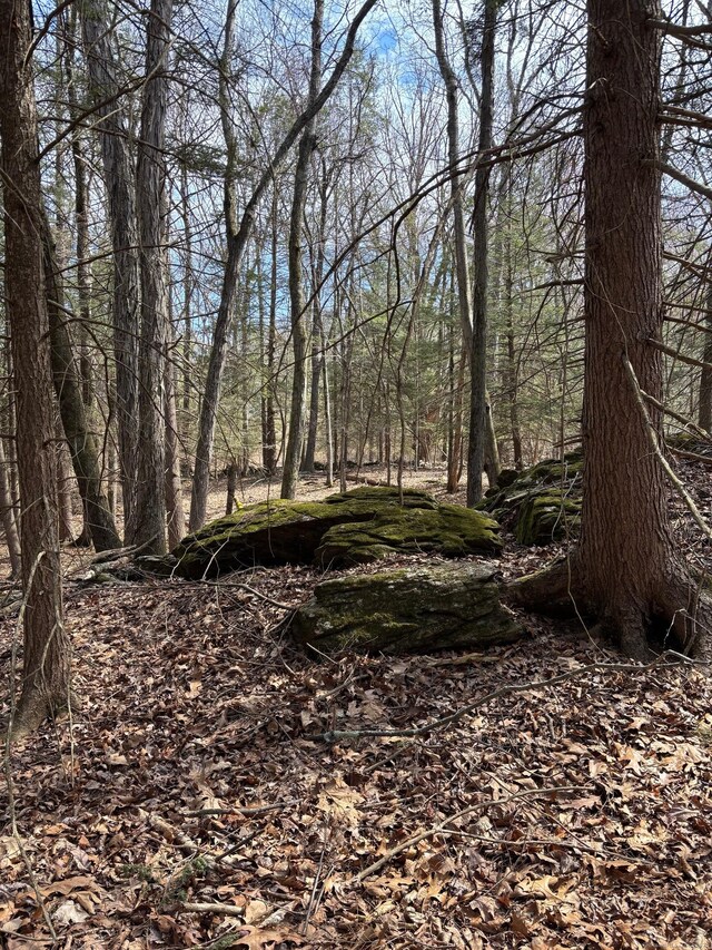 LOT00 Chalybes Rd W, Roxbury, CT 06783 - photo 9
