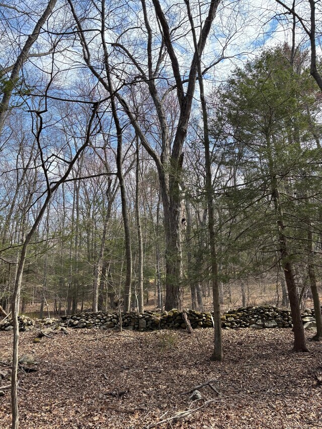 LOT00 Chalybes Rd W, Roxbury, CT 06783 - photo 10