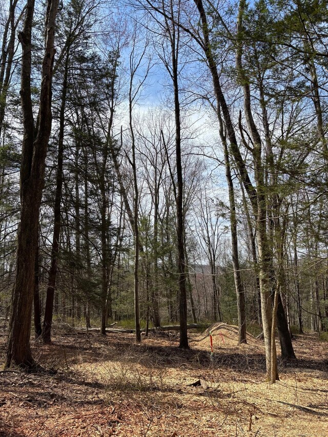 LOT00 Chalybes Rd W, Roxbury, CT 06783 - photo 1