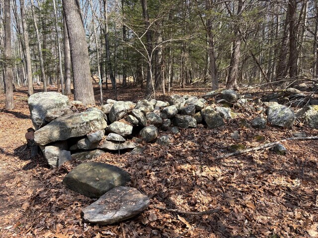 LOT00 Chalybes Rd W, Roxbury, CT 06783 - photo 2