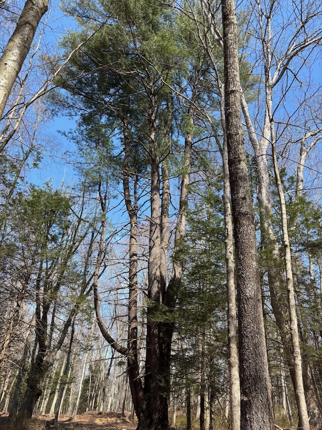 LOT00 Chalybes Rd W, Roxbury, CT 06783 - photo 3