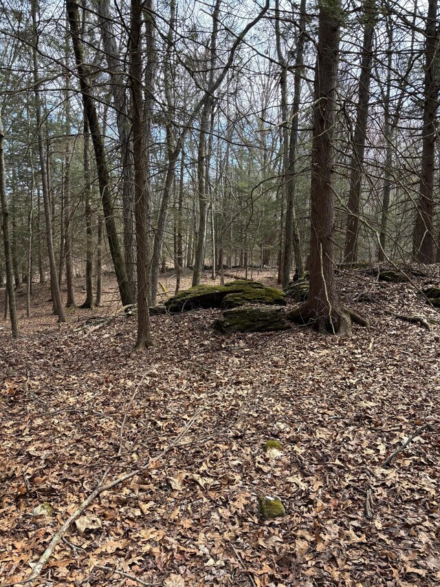 LOT00 Chalybes Rd W, Roxbury, CT 06783 - photo 4