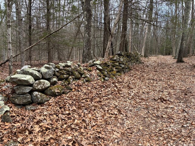LOT00 Chalybes Rd W, Roxbury, CT 06783 - photo 5