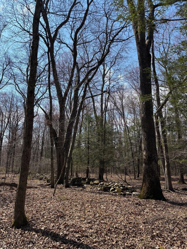LOT00 Chalybes Rd W, Roxbury, CT 06783 - photo 7
