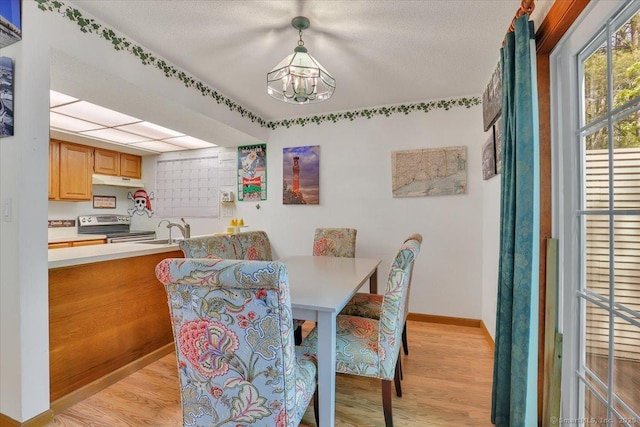 dining room featuring light wood-style floors, a chandelier, and baseboards