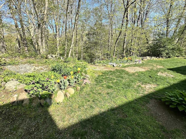44 Mohawk Trl Unit 44, Guilford, CT 06437 - view of yard