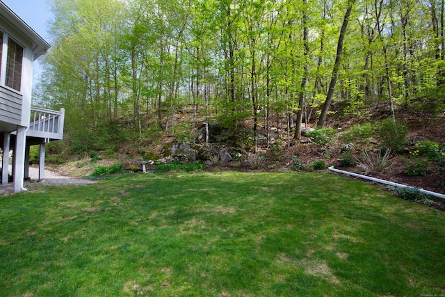 view of yard