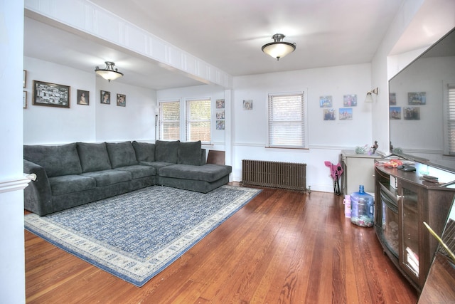 living area featuring radiator heating unit and wood finished floors