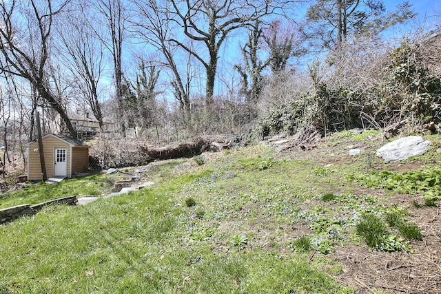view of yard featuring an outdoor structure and a shed