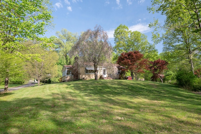 view of grassy yard