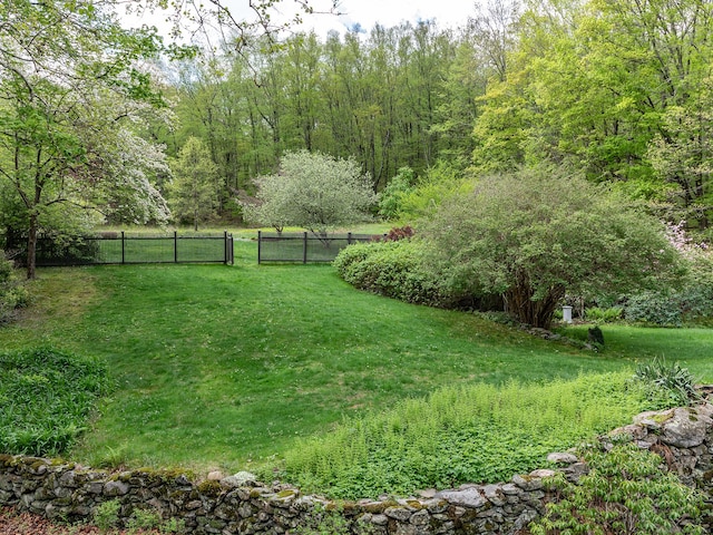 39 Painter Hill Rd, Woodbury, CT 06798 - view of yard