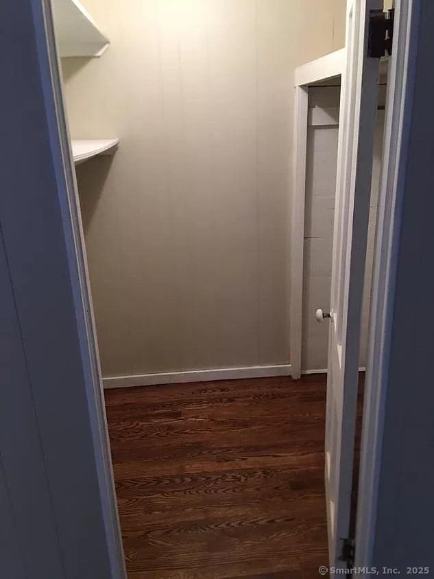 spacious closet with dark wood finished floors