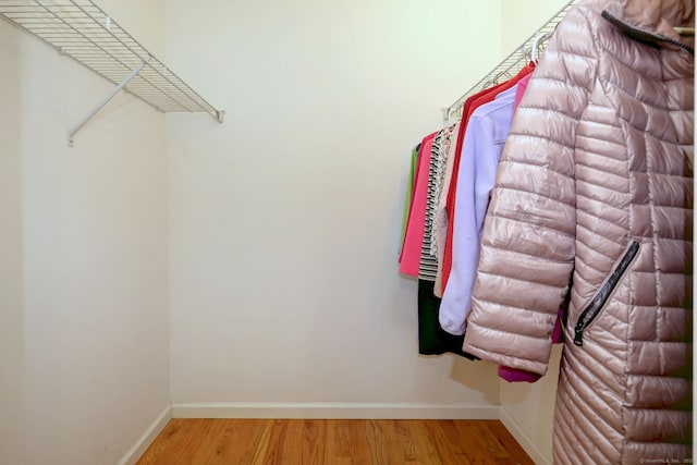 30 Prosperity Ct Unit 25, Southington, CT 06489 - walk in closet with light wood-type flooring