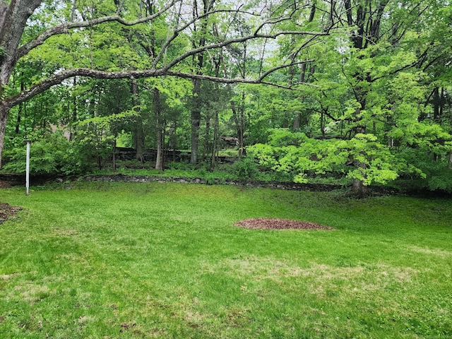 79 Pomfret Rd, Brooklyn, CT 06234 - view of green lawn with a wooded view