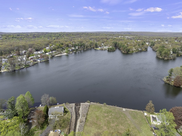 870 Lakeside Dr, Bridgeport, CT 06606 - drone / aerial view featuring a water view and a view of trees
