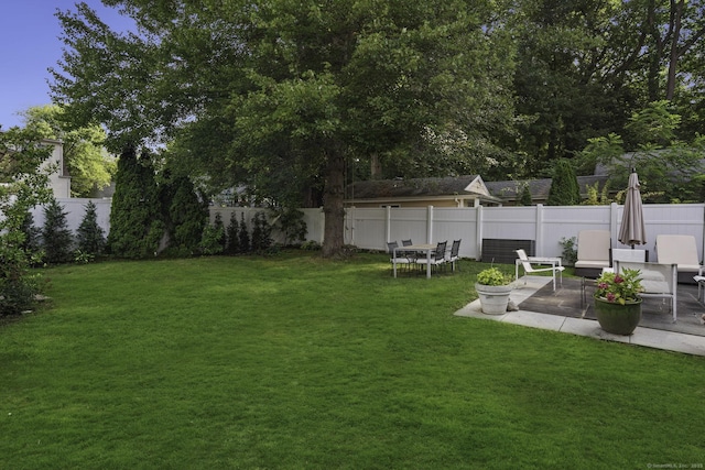view of yard featuring a patio area