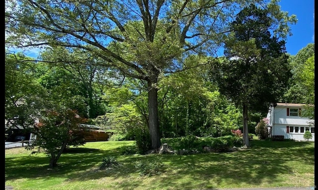 37 Shawnee Rd, Trumbull, CT 06611 - view of grassy yard