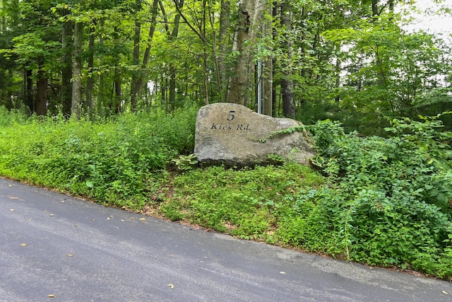 5 Kies Rd, Killingly, CT 06239 - view of wooded area