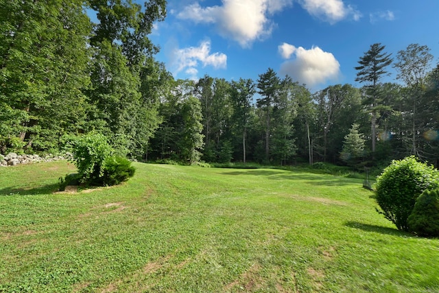 5 Kies Rd, Killingly, CT 06239 - view of green lawn with a view of trees