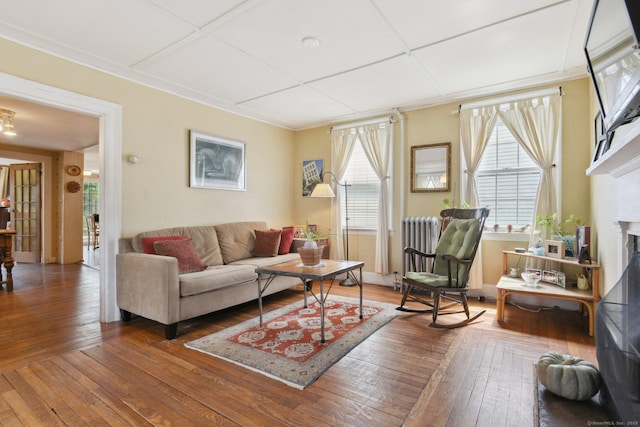 living area with radiator, a fireplace, and hardwood / wood-style flooring