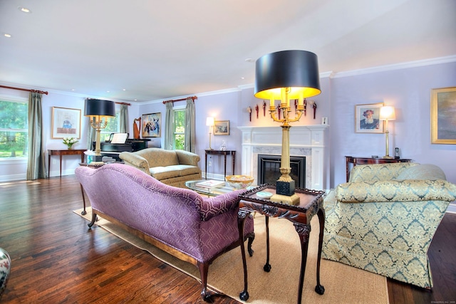 11 Tall Pines Dr, Weston, CT 06833 - living area featuring a premium fireplace, ornamental molding, wood finished floors, baseboards, and recessed lighting