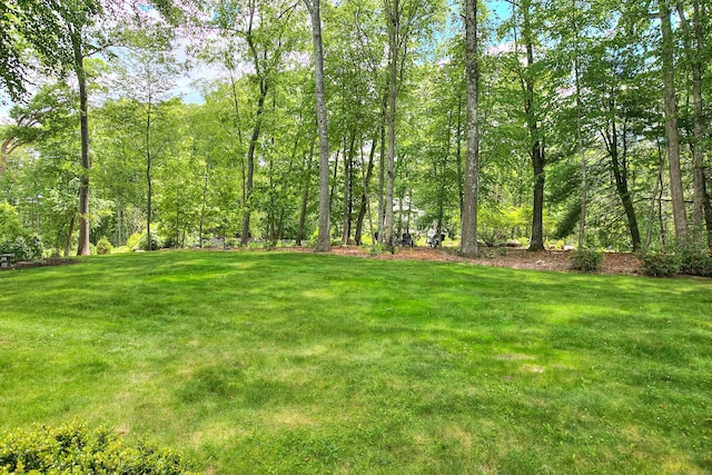 11 Tall Pines Dr, Weston, CT 06833 - view of grassy yard