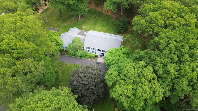 11 Tall Pines Dr, Weston, CT 06833 - view of subject property