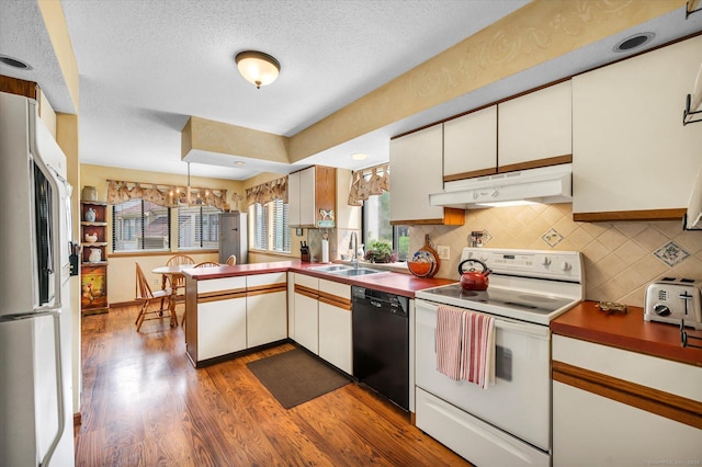 kitchen with white appliances, under cabinet range hood, a sink, dark wood-style flooring, and decorative backsplash