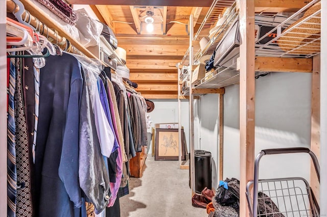 view of spacious closet