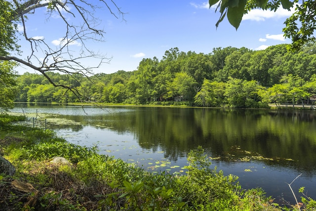 157 Pine Lake Rd, Westbrook, CT 06498 - water view featuring a forest
