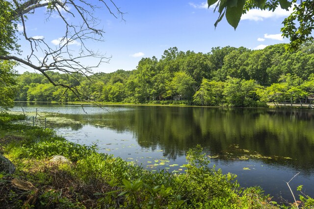 157 Pine Lake Rd, Westbrook, CT 06498 - water view featuring a forest