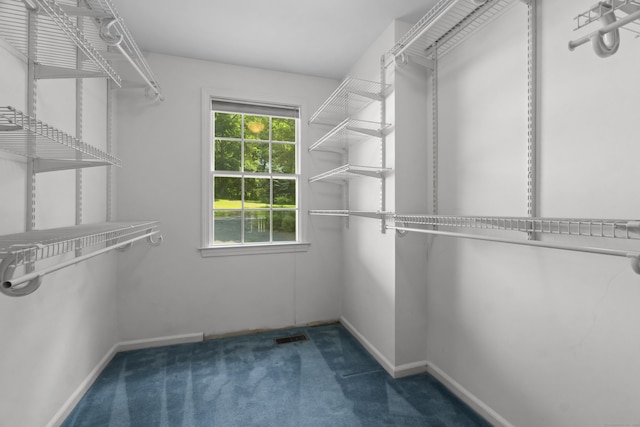 157 Pine Lake Rd, Westbrook, CT 06498 - walk in closet featuring carpet