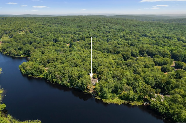 157 Pine Lake Rd, Westbrook, CT 06498 - bird's eye view of a heavily wooded area
