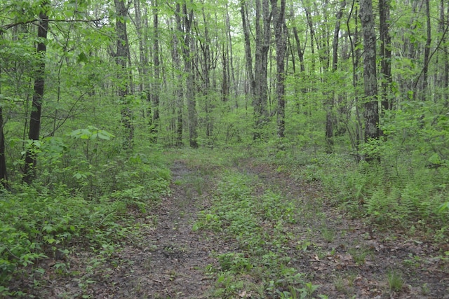 133 Music Vale Rd, Salem, CT 06420 - view of woods