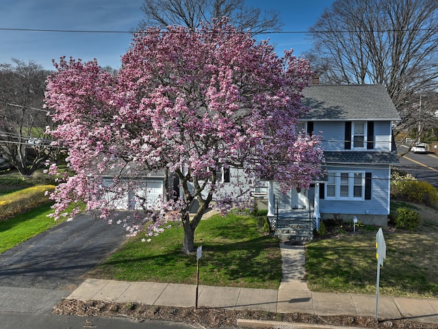 6 Thompson St, Fairfield, CT 06825 - obstructed view of property with a garage, roof with shingles, asphalt driveway, and a front yard