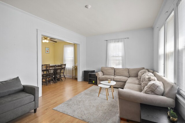 6 Thompson St, Fairfield, CT 06825 - living area featuring light wood-style floors and ornamental molding