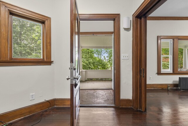516 Savin Ave, West Haven, CT 06516 - entryway featuring radiator, plenty of natural light, and hardwood / wood-style flooring