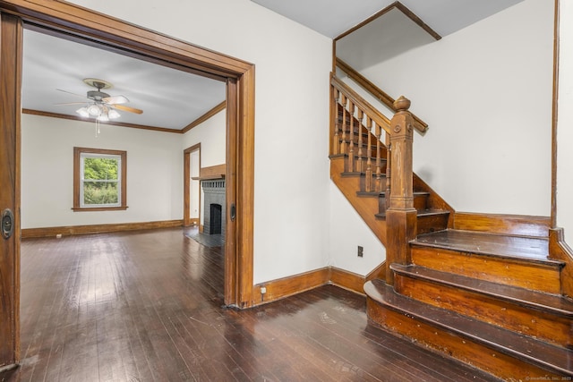 516 Savin Ave, West Haven, CT 06516 - stairs with ceiling fan, hardwood / wood-style flooring, a fireplace with flush hearth, and ornamental molding