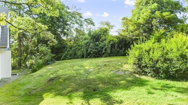516 Savin Ave, West Haven, CT 06516 - view of green lawn