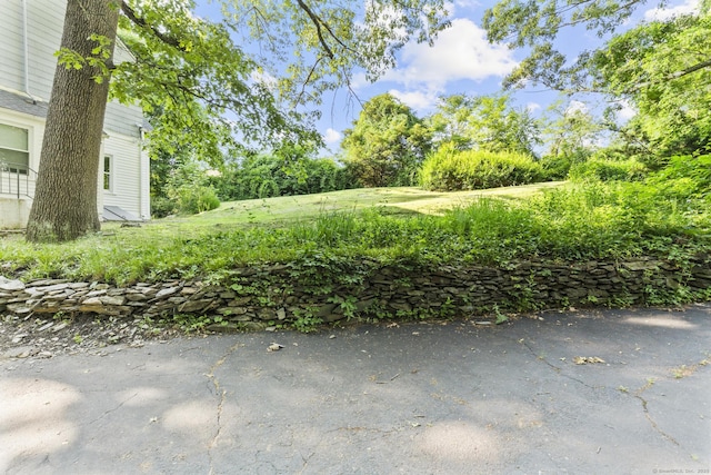 516 Savin Ave, West Haven, CT 06516 - view of yard