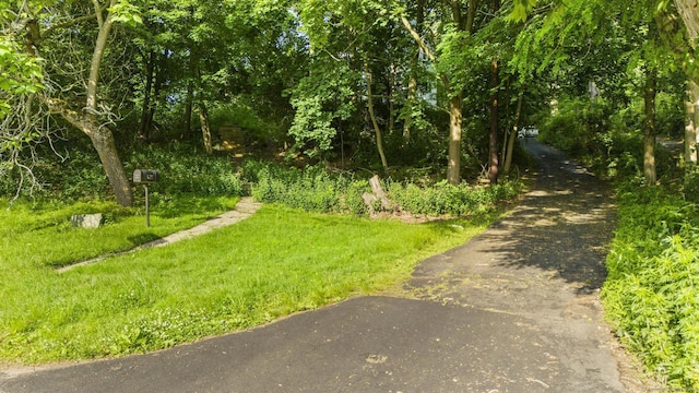 516 Savin Ave, West Haven, CT 06516 - view of community with asphalt driveway