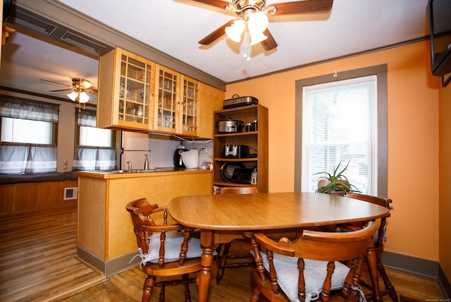 dining room with visible vents, wood finished floors, a ceiling fan, and ornamental molding