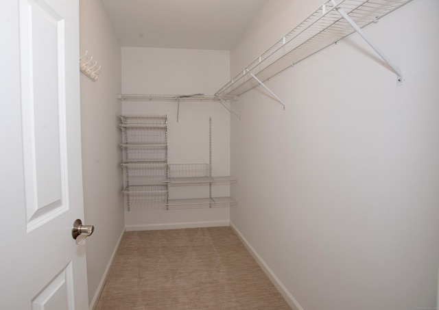 walk in closet with light carpet
