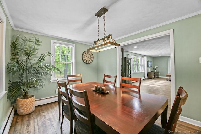 dining area featuring a baseboard radiator, plenty of natural light, wood finished floors, and crown molding