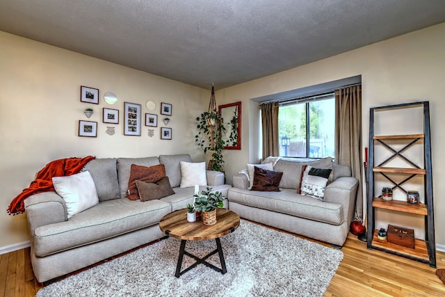 529 Woodward Ave Apt D, New Haven, CT 06512 - living room with light wood-style floors and baseboards