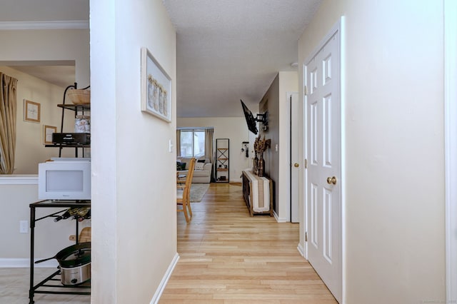 529 Woodward Ave Apt D, New Haven, CT 06512 - hallway with light wood-style floors and baseboards