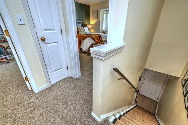 529 Woodward Ave Apt D, New Haven, CT 06512 - stairs with carpet floors