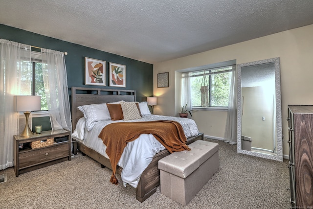 529 Woodward Ave Apt D, New Haven, CT 06512 - bedroom with carpet floors, a textured ceiling, and baseboards