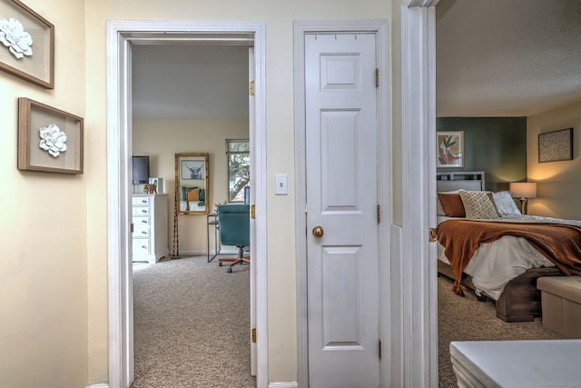 529 Woodward Ave Apt D, New Haven, CT 06512 - hallway featuring carpet and baseboards